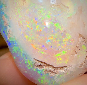 27.1cts - Opalised Fossil Shell Specimen from South Australia