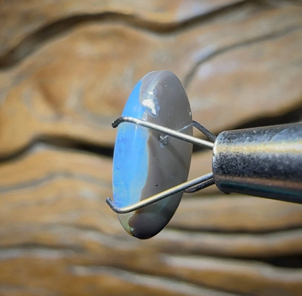 2.5cts - Lightning Ridge Semi Black Opal - Opal Whisperers