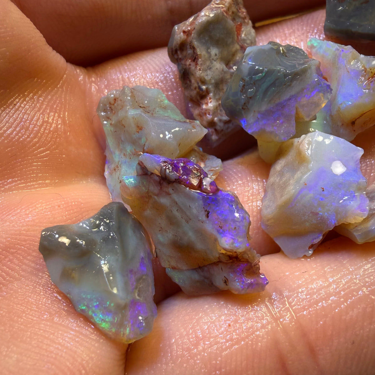 59.7cts - 14x Lightning Ridge Opal Rough Parcel