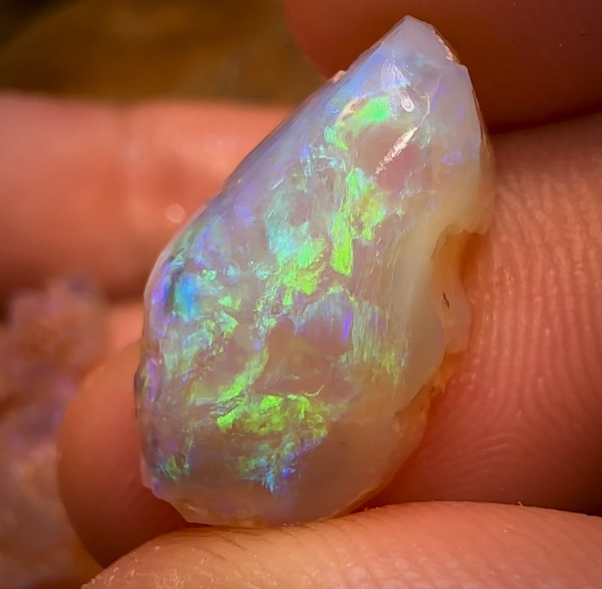 63.3cts - 12x Opalised Fossil Geological Specimens from Lightning Ridge