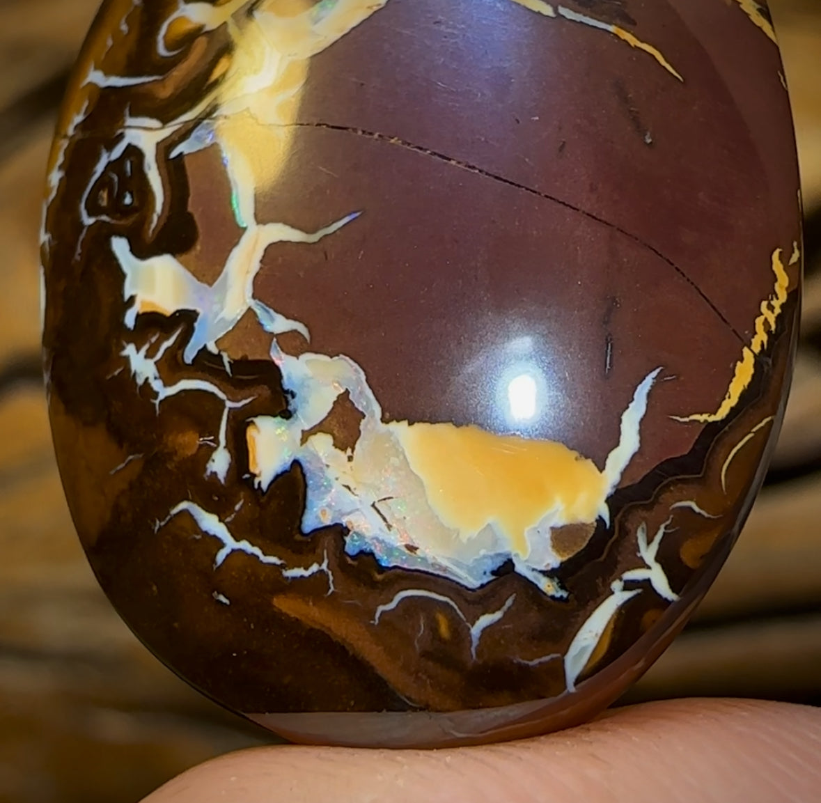 63.7cts - Tribal Queensland Boulder Opal Half Price Bargain