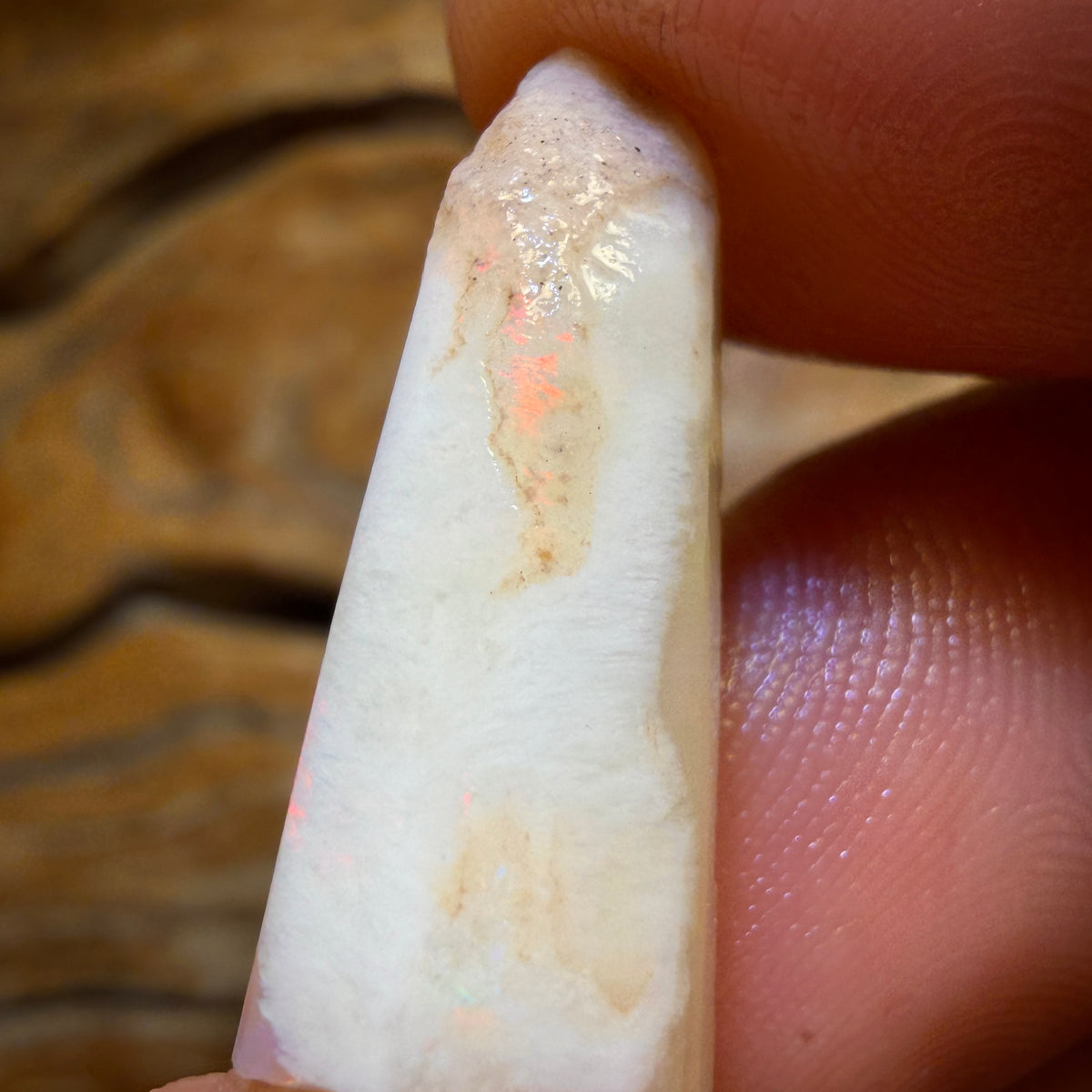 11.8cts - Opalised Belemnite Geological Specimen from South Australia