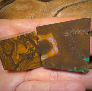 🔒Dealers Wildcard 507.7cts - 2x Australian Boulder Seam Opal Rough Pieces