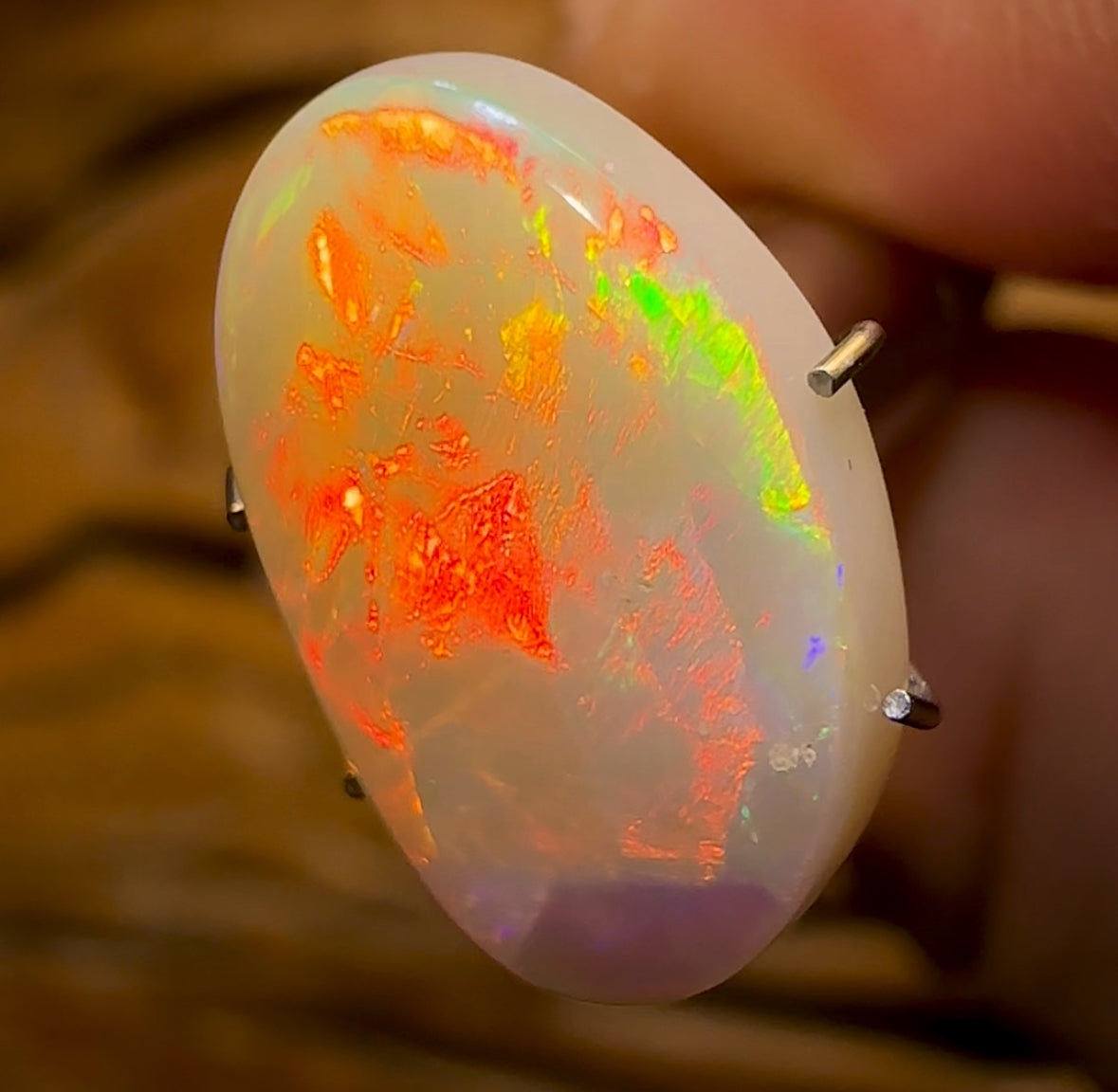 3.85cts - Top South Australian White Opal