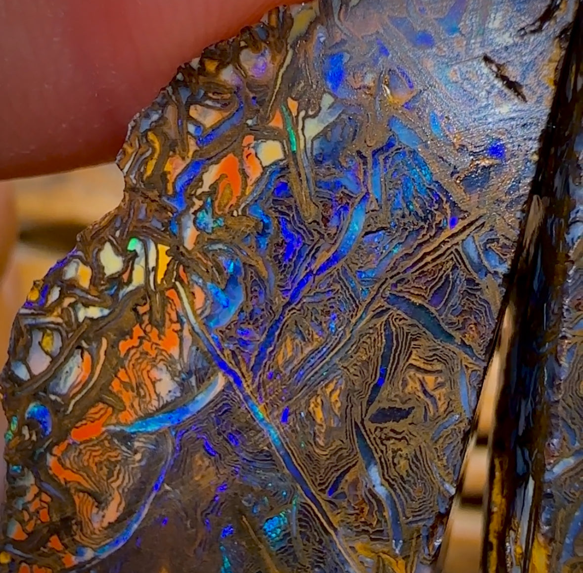 Bargain Card! 217.2cts - Tribal Yowah Nut Opal Rough Pair. Australian Opal