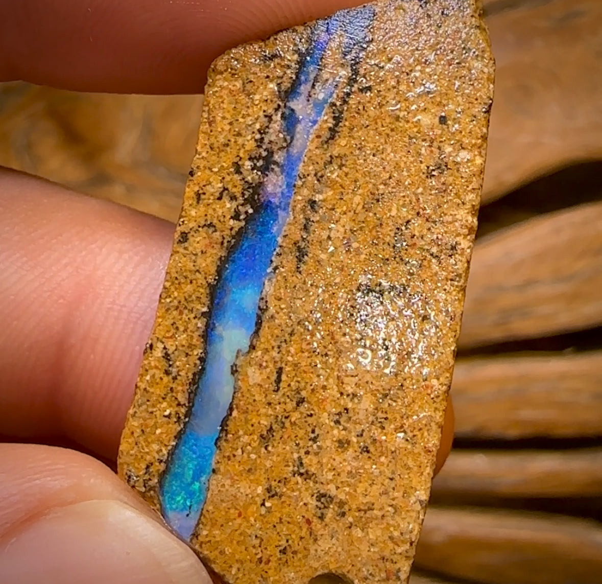 Bargain card! 85.1cts - 2x Queensland Boulder Pipe Opal Rough Pieces