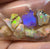 18.9cts - 8x Australian Yowah Boulder Crystal Opal Rough Pieces - Opal Whisperers