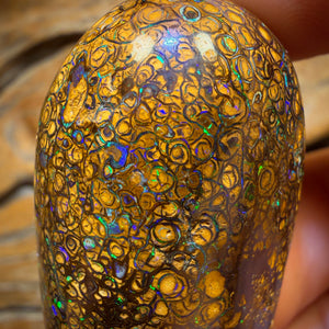 218.7cts - large Tribal Australian Boulder Opal Polished Specimen