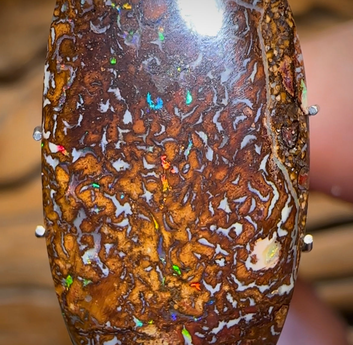 17.1cts - Australian Boulder Opal. Yowah Tribal - Opal Whisperers