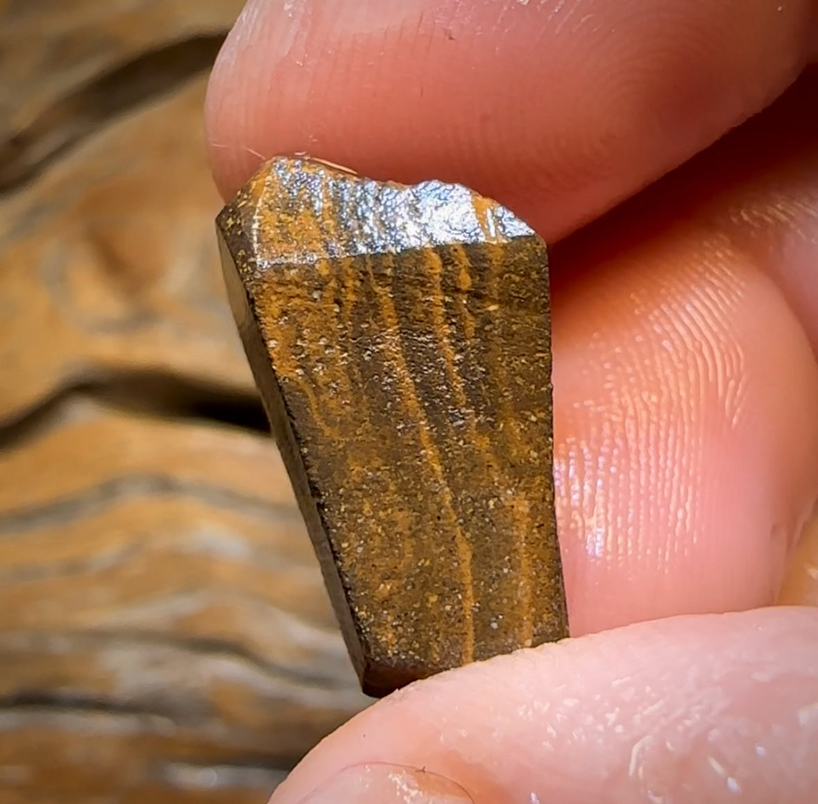 14.1cts - Queensland Boulder Seam Opal Rub