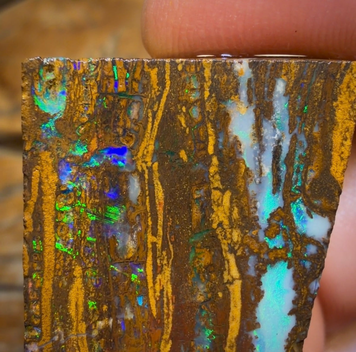 49.9cts - Queensland Boulder Opal Preform Rub
