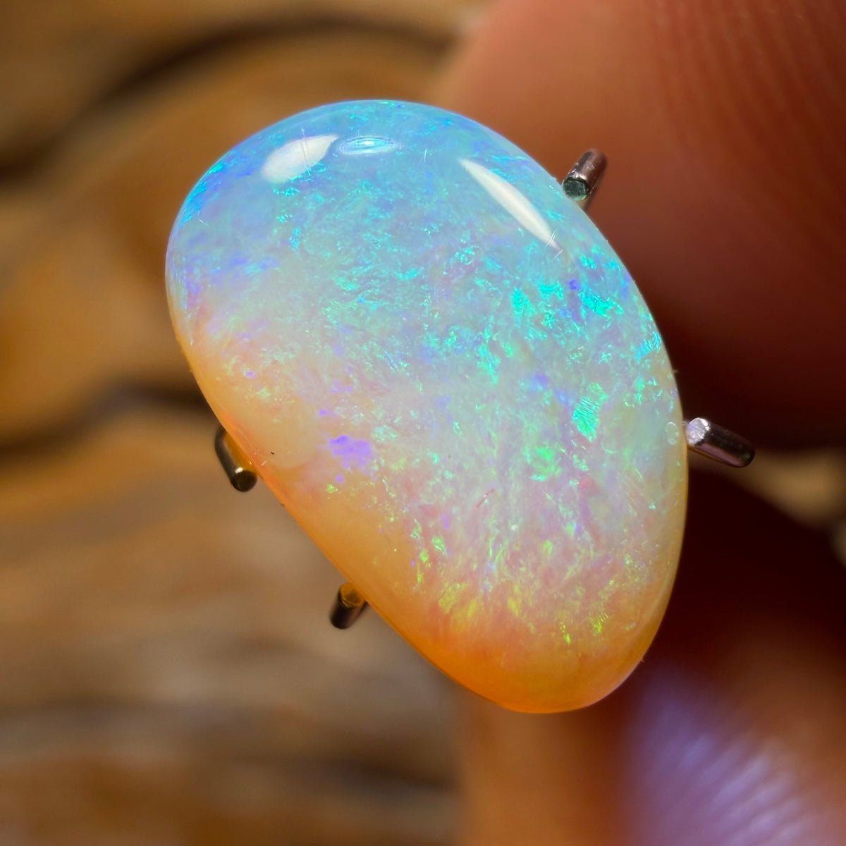 Half Price Card! 2.1cts - Solid Australian Boulder Pipe Crystal Opal