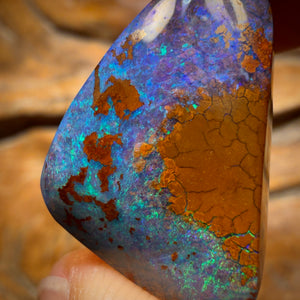 🔨 AUCTION 🔨 29cts - Australian Boulder Opal from Yowah