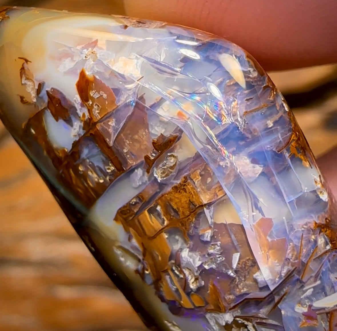 78.9cts - Large Australian Boulder Wood Fossil Opal