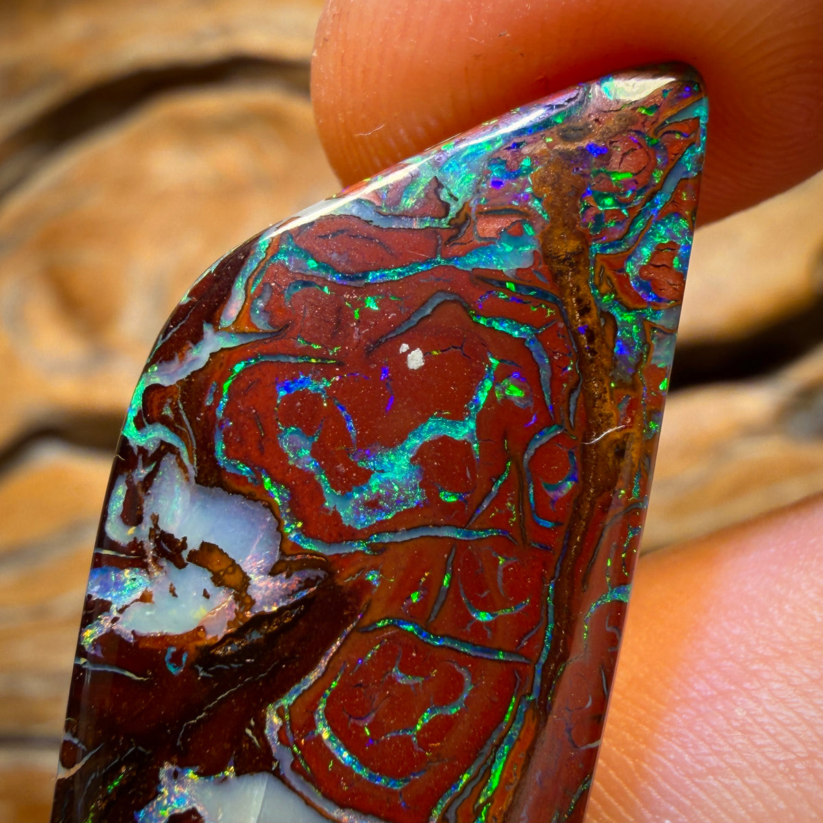 $1000 Off Banger Card! 50.4cts - Top Tribal Queensland Boulder Opal from Koroit