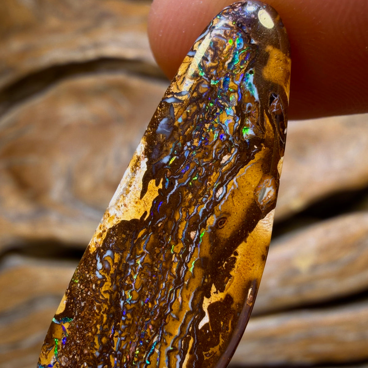 26.3cts - Tribal Queensland Boulder Opal from Yowah