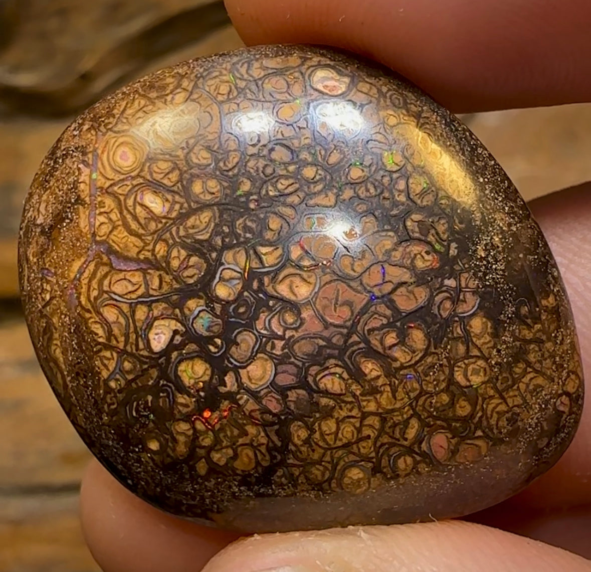62.2cts - Intricate Tribal Pattern Yowah Nut Opal - Opal Whisperers
