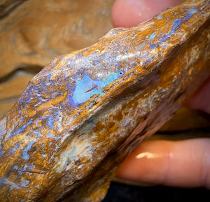 611.2cts - “Opal Dagger”Australian Boulder Wood Fossil Opal Rough Piece. Carvers Delight