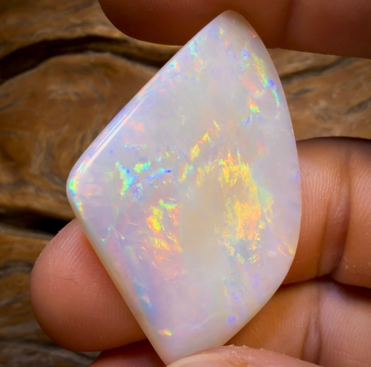 44.8cts - Large Top Olympic, South Australian White Opal