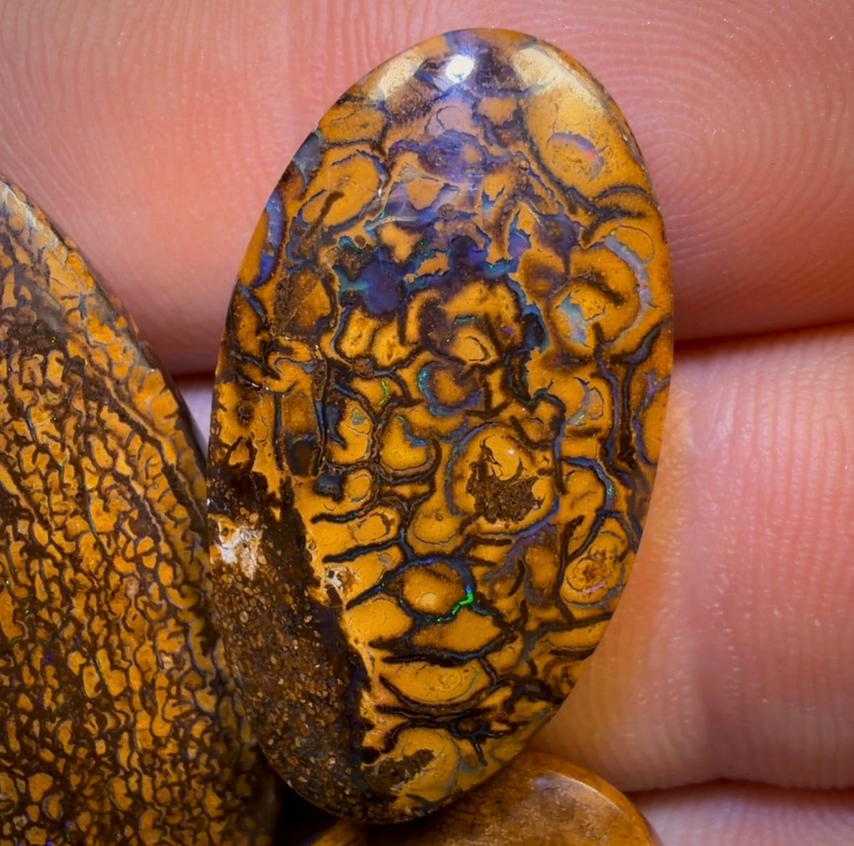 159.1cts - 5x Australian Tribal Boulder Opal’s. Wholesale Dealers Parcel