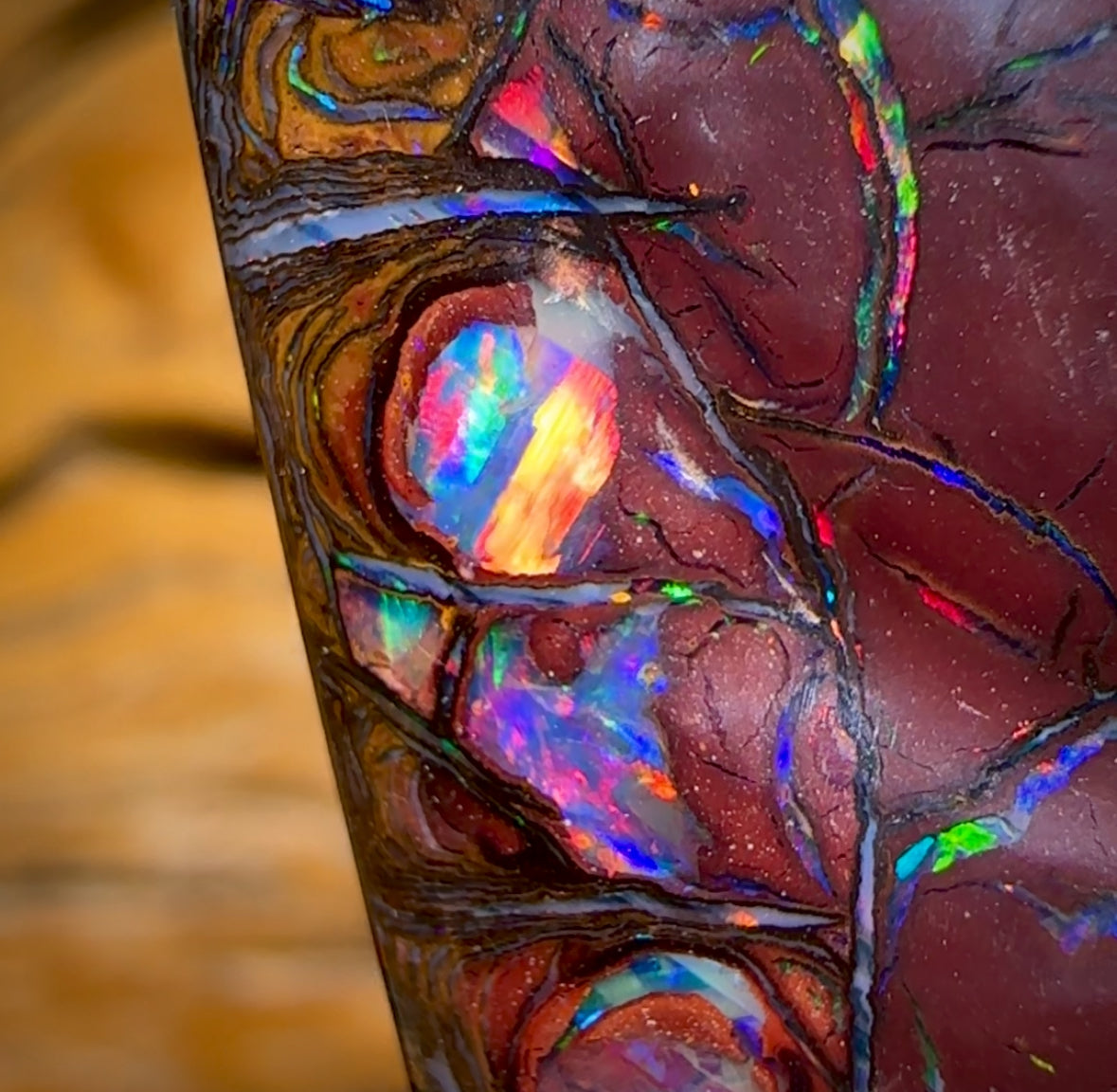 29.4cts - Top Tribal Australian Boulder Opal from Yowah. Red Multicolours!