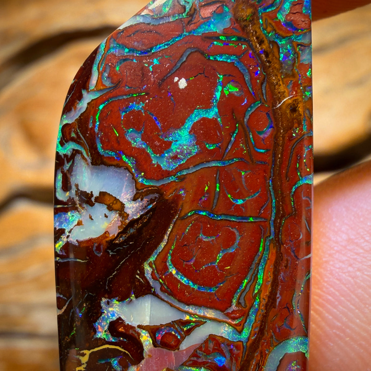 $1000 Off Banger Card! 50.4cts - Top Tribal Queensland Boulder Opal from Koroit