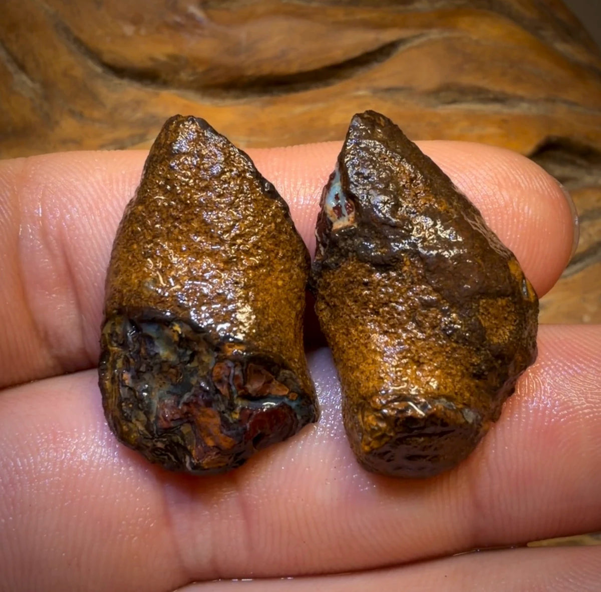 47.1cts - Yowah Nut Partial Crystal Centre Rough Specimen Pair