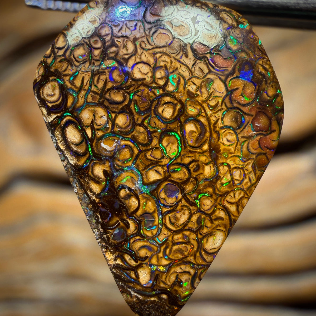 Solid Tan Tribal Queensland Boulder Opal Pendant