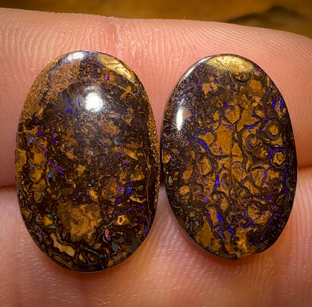 19.6cts - Tribal Queensland Boulder Opal Pair