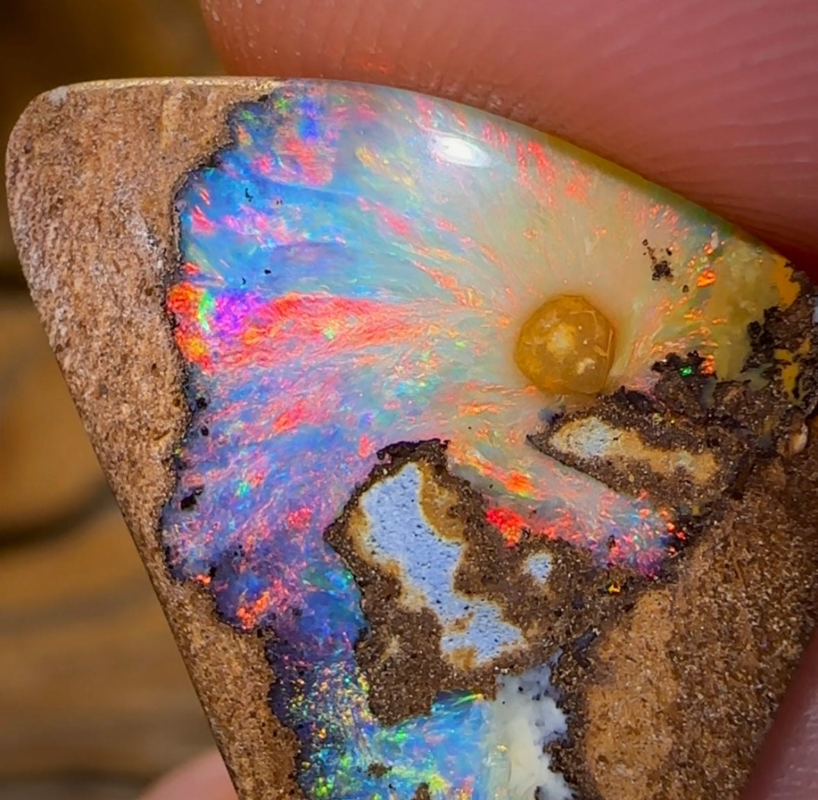 9.1cts - “Rainbow Parrot”Picture Queensland Boulder Seam Australian Opal. - Opal Whisperers