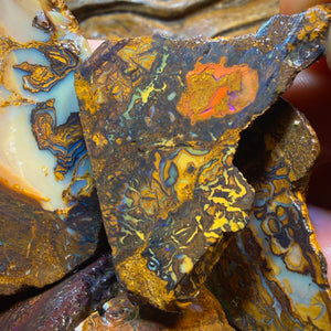 1118cts - 7x Koroit Nut Tribal Opal Rough Parcel. Australian Boulder Opal