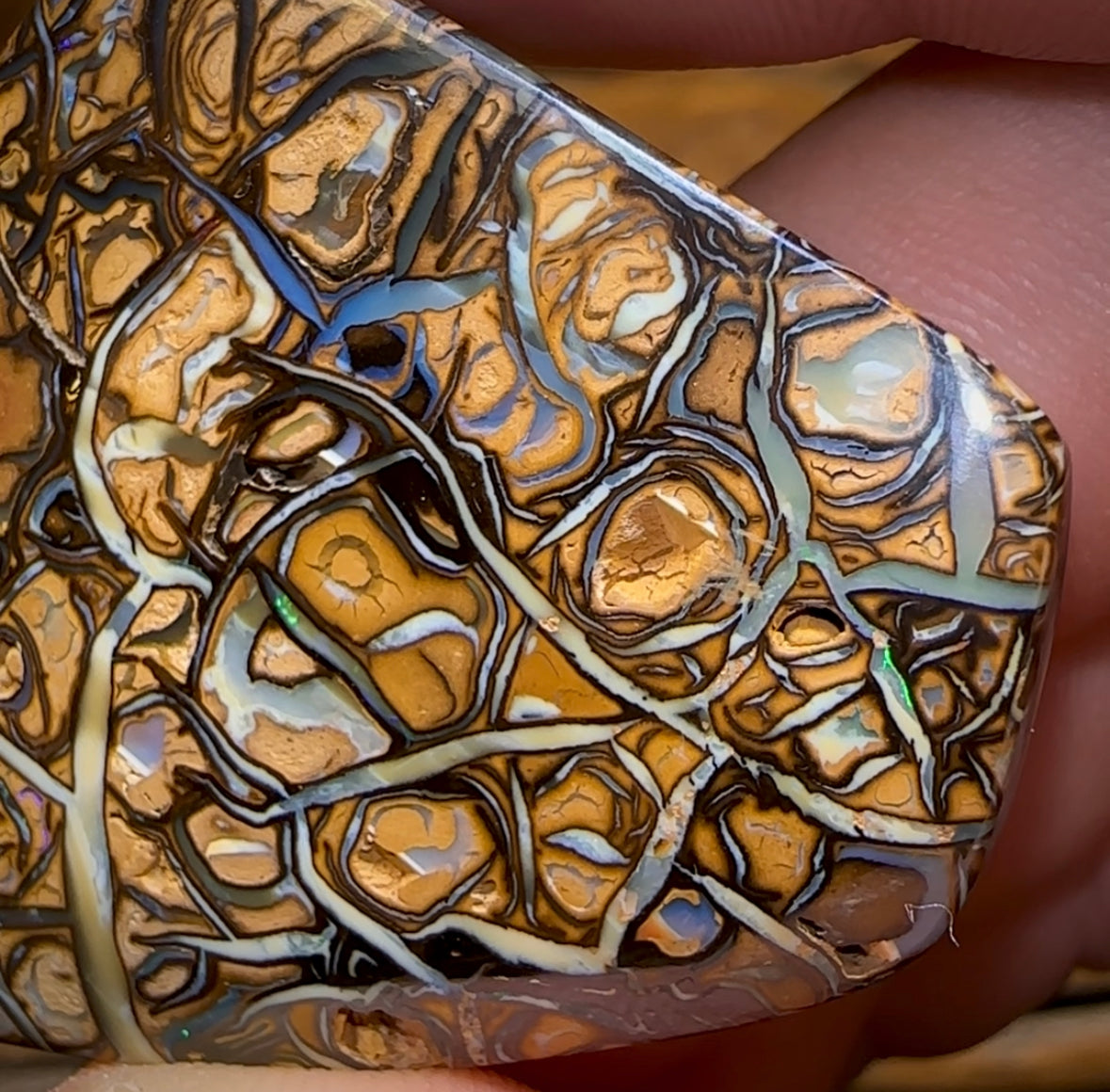 113.1cts - Top Tribal Magic Koroit Nut Australian Opal. - Opal Whisperers