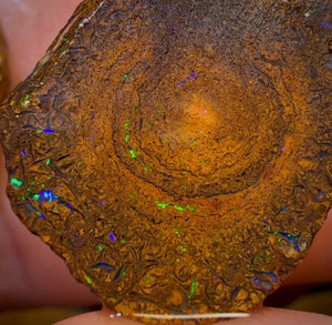 TGIF 32cts - Tribal Yowah Nut Opal Rough Pair. Australian Opal