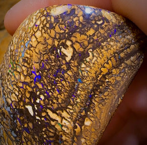 574.5cts - Large Tan Tribal Queensland Boulder Opal. Polished Specimen