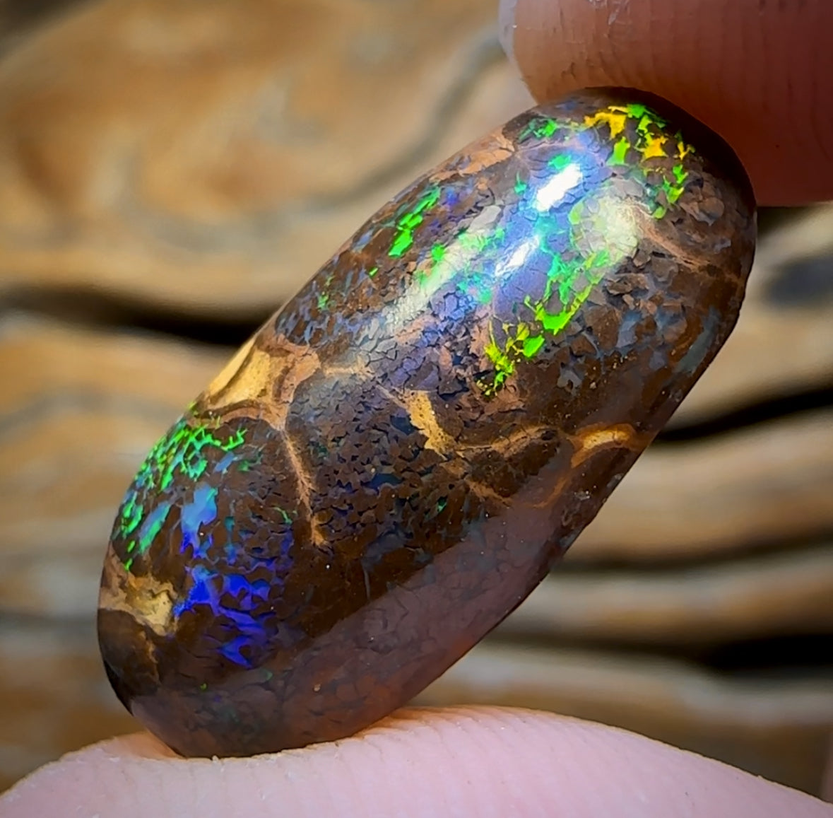 10.4cts - Fluro Bubble Band Queensland Boulder Opal from Yowah