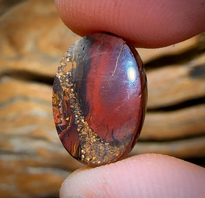 11.8cts - “Collectors Prize” Yowah Nut Kernel Opal. Australian Boulder Opal