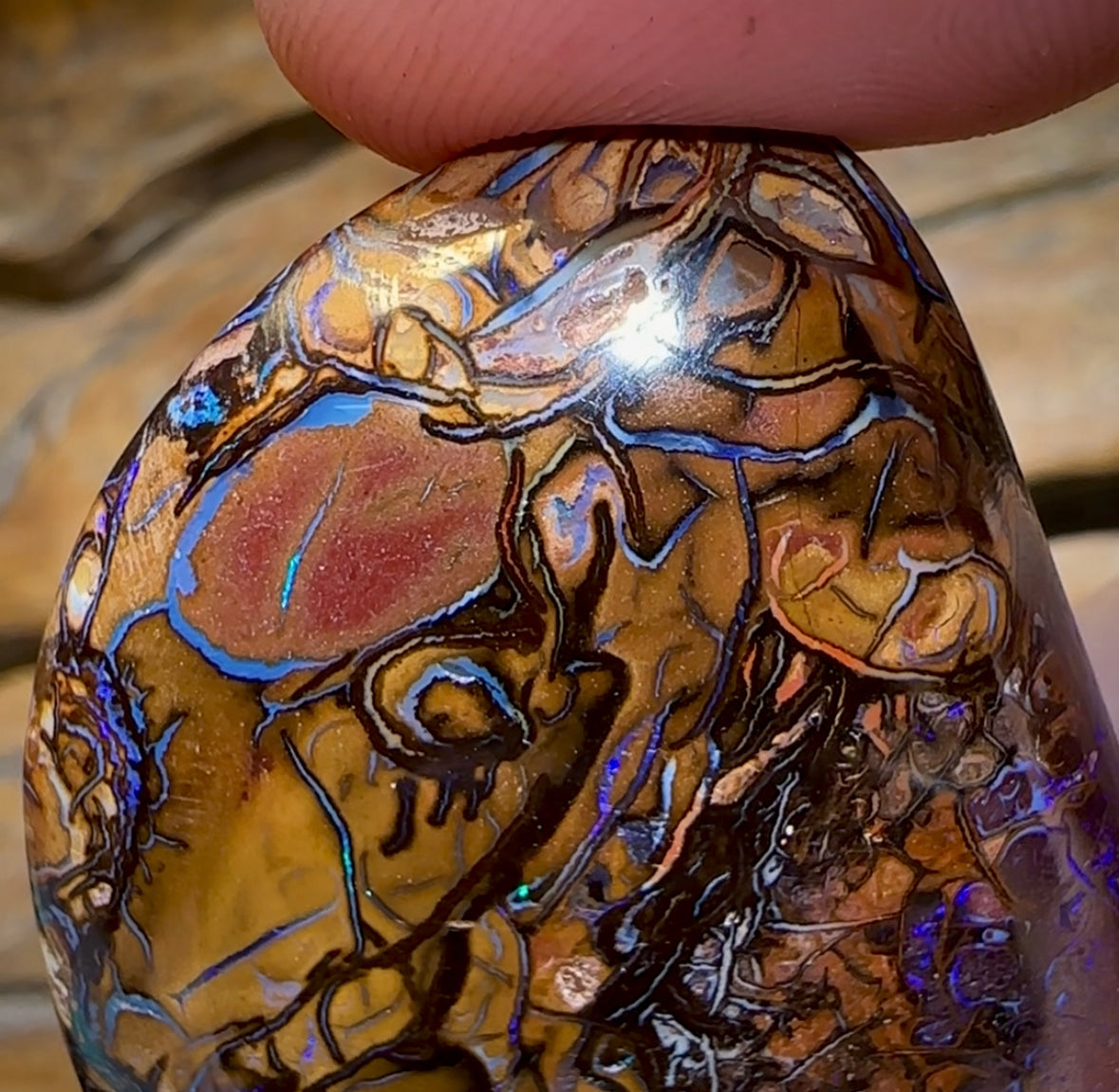 156.7cts - Large Yowah Nut Tribal Opal - Opal Whisperers