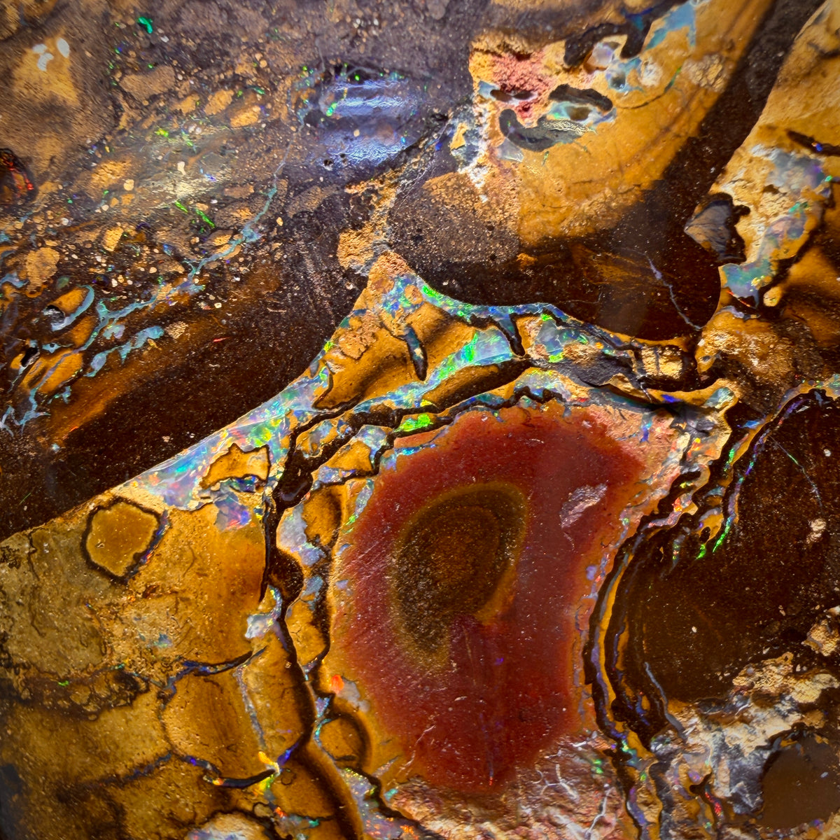 678,5 cts - Grand spécimen poli d'opale boulder australienne tribale