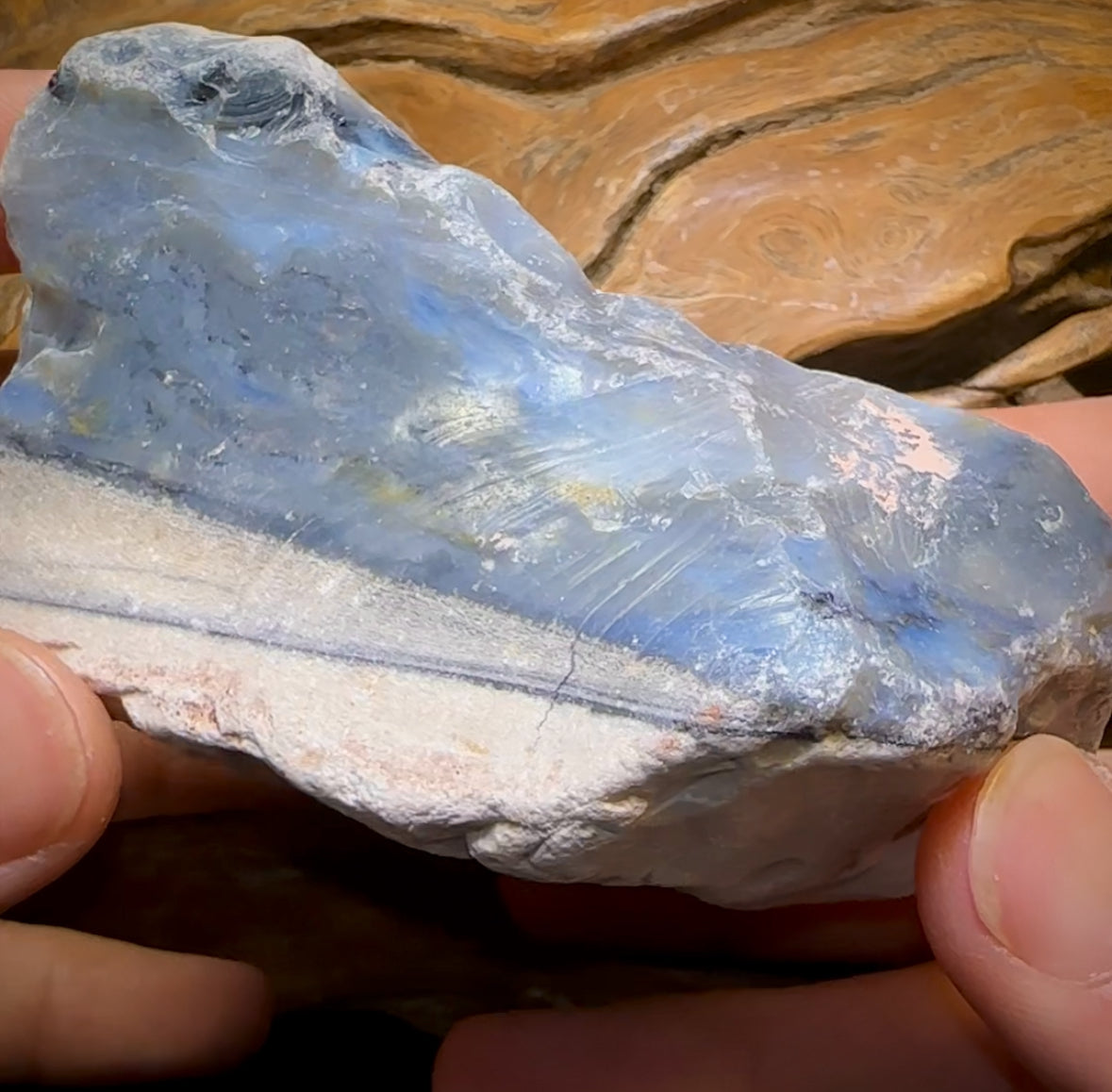 1544cts - HUGE Lightning Ridge Black Potch Opal Rough Piece Less than $0.20c/ Ct