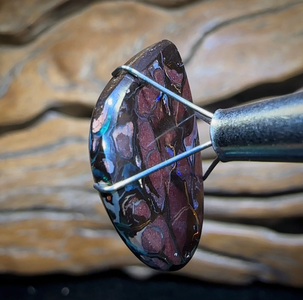 16.4cts - Top Tribal Queensland Boulder Opal from Koroit with Kernels