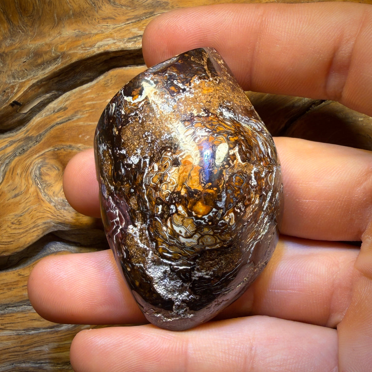448.4cts - “To Cut or Not To Cut” Yowah Nut Kernel Opal. Polished Specimen