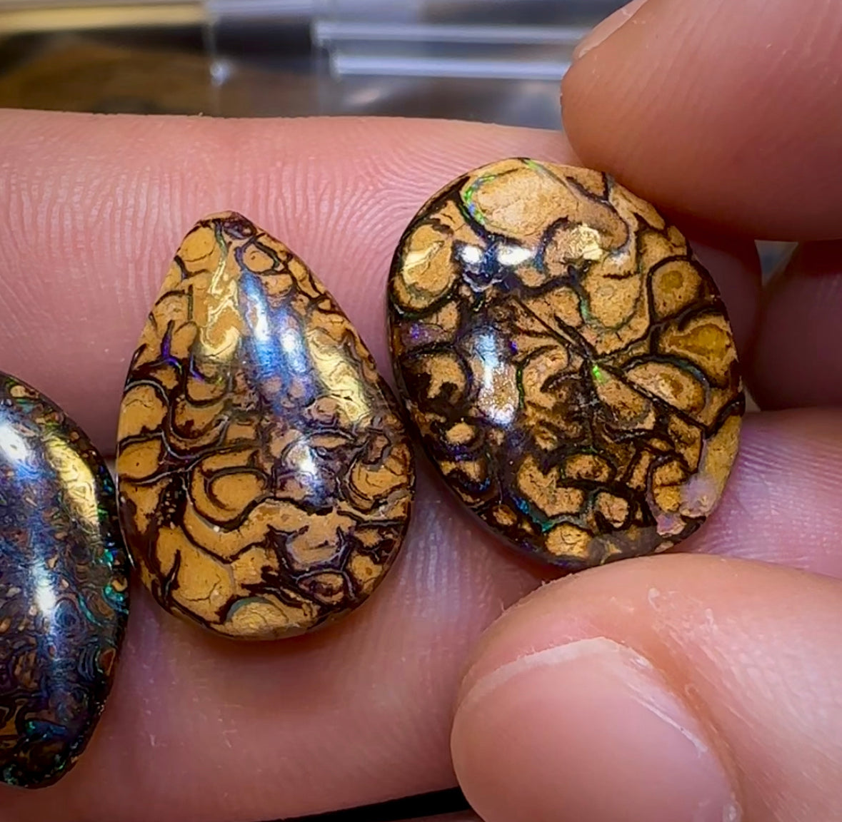 Yowah Tribal Opal Parcel. BULK LISTING - 5 FOR $250. PLUS 6TH FREE !!! - Opal Whisperers