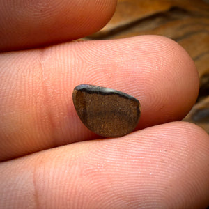 🔨 AUCTION 🔨 Reserve 💎 High Roller Banger Auction 💎 1.6cts - Queensland Boulder Seam Opal from Winton