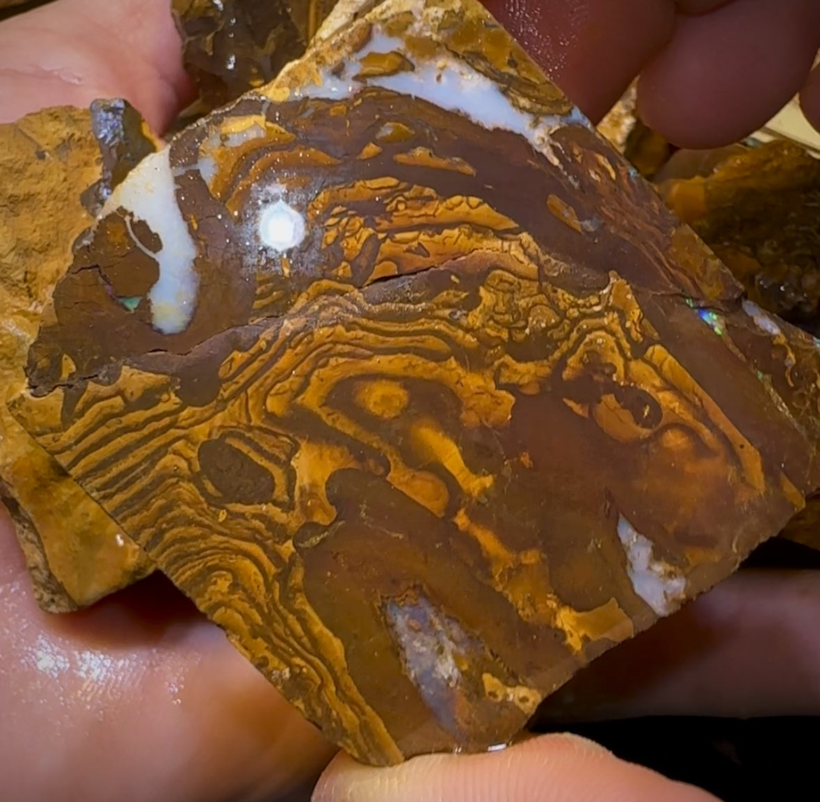 2061cts - 9x Queensland Boulder Rough Opal Parcel Only 0.25c/ct !