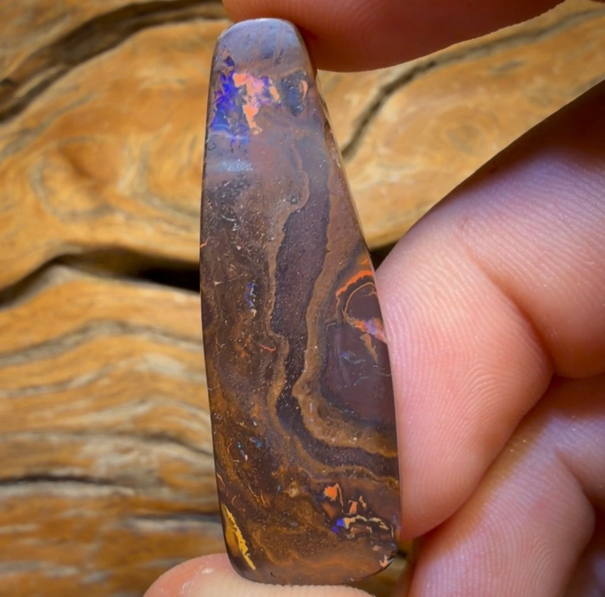 45.8cts - Queensland Boulder Opal from Koroit