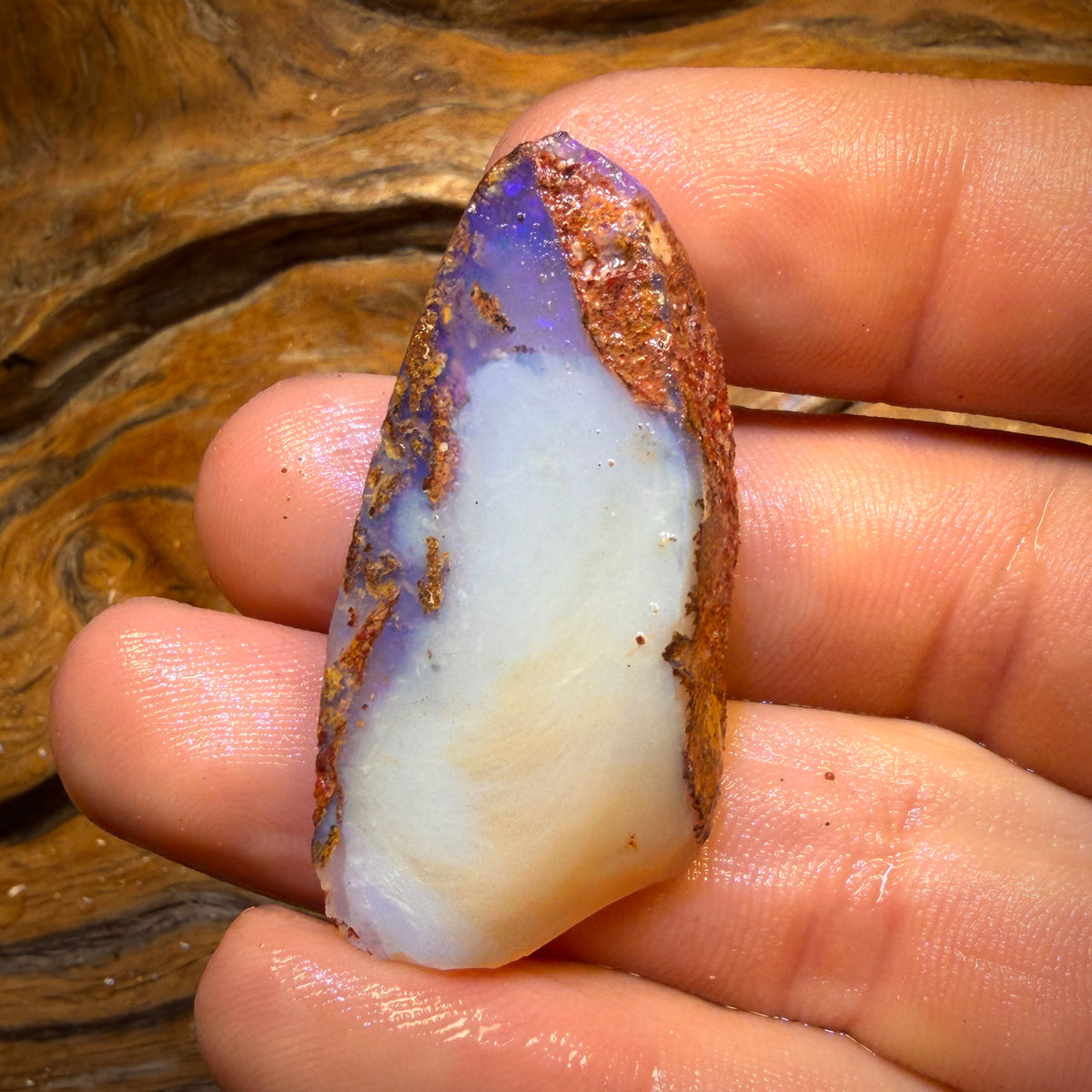 56.1cts - Boulder Pipe Opal Rough Piece. Australian Opal