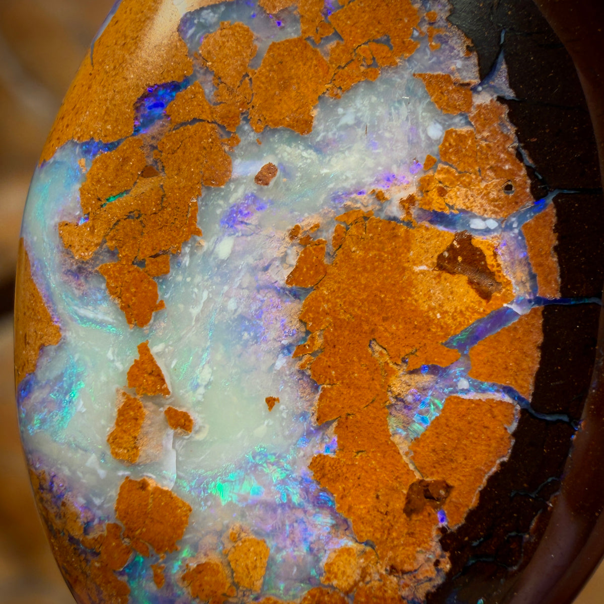 38.6cts - Australian Boulder Opal from Yowah