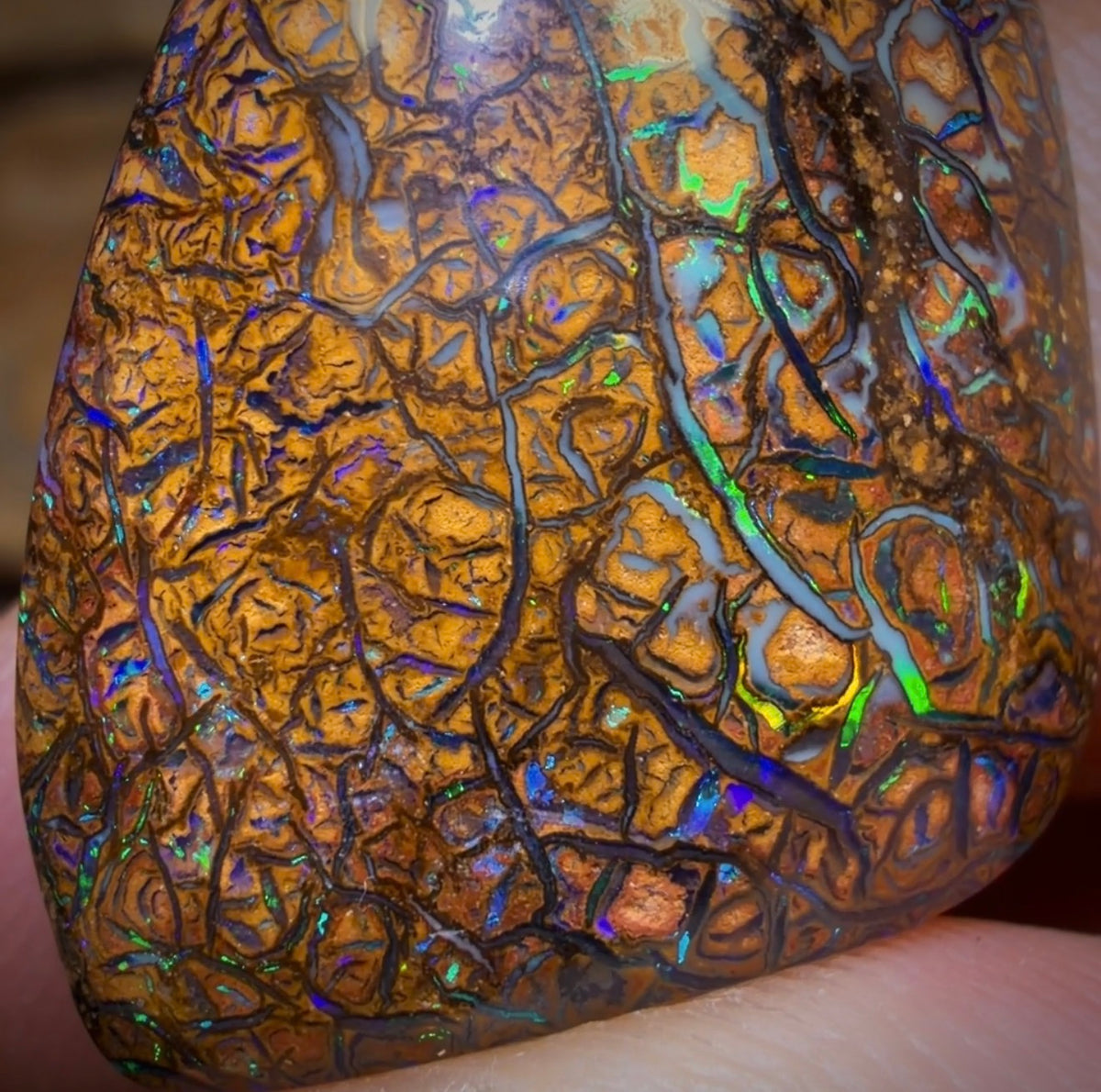 24.3cts - Tan Tribal Yowah Nut Opal. Australian Opal