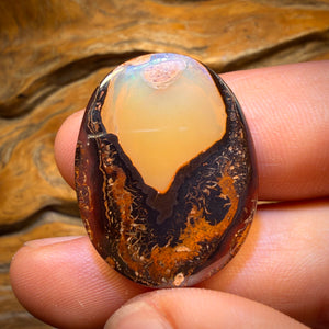 38.2cts - Yowah Nut Crysyal Centre Opal. Australian Boulder Opal