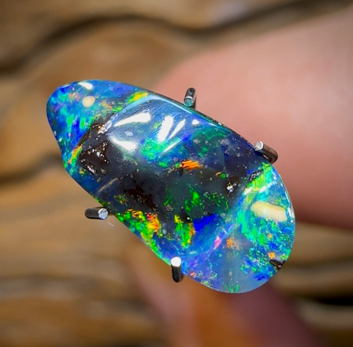 2.5cts - Queensland Boulder Opal from Winton - Opal Whisperers